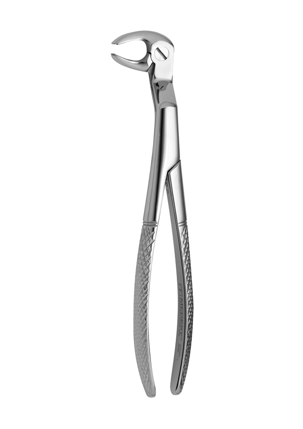 Lower molars and wisdoms left
